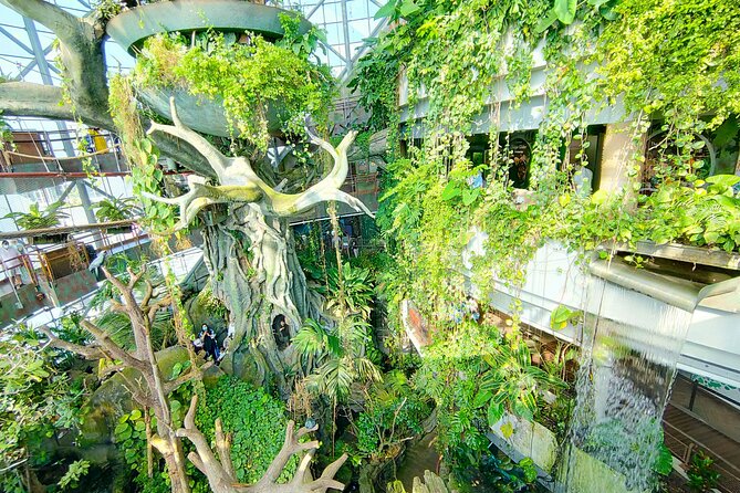 Green Planet Dubai Adventure: Explore 2024's Journey and Essential Details