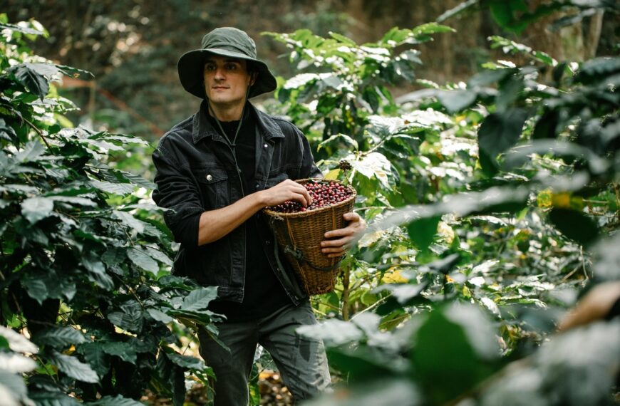 organic food supplement suppliers in the philippines