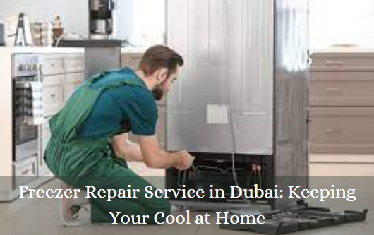Freezer Repair Service in Dubai: Keeping Your Cool at Home