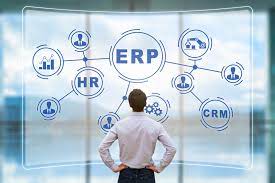 Navigating Business Excellence: The Synergy of ERP and HRMS