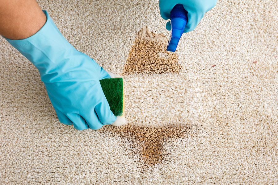 How to Clean a Stain on a Carpet