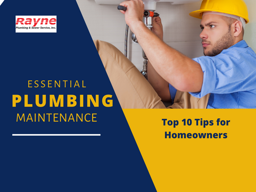 Essential Plumbing Maintenance: Top 10 Tips for Homeowners