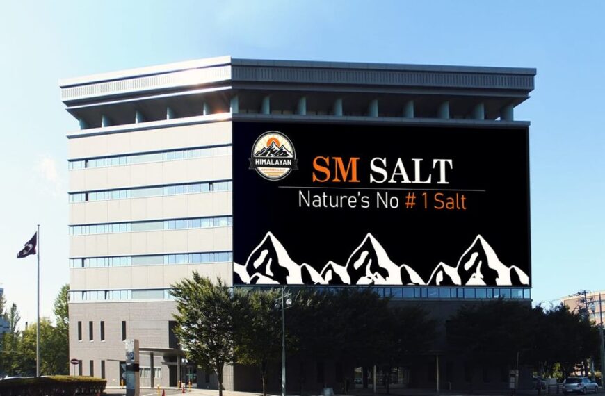 Exploring the Wonders of Wholesale Pink Himalayan Salt and Himalayan Salt Lamps