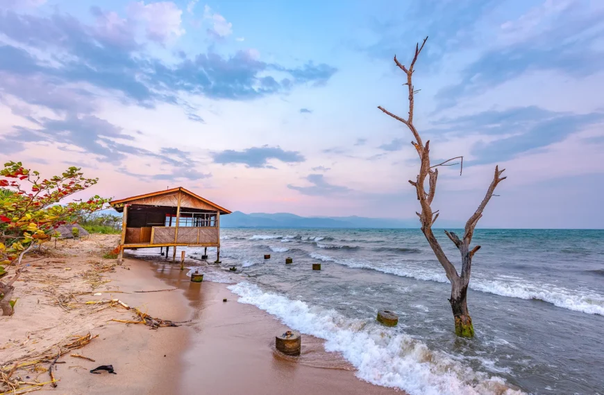 How Can Burundi and Angola Citizens Apply for an Indian Visa?