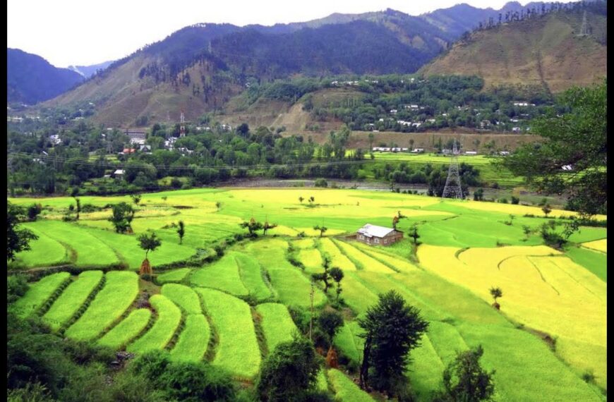 How Do I Apply for an Indian Visa Online?