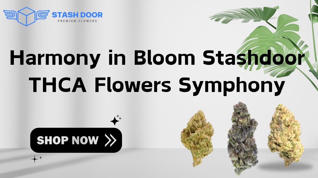 Harmony in Bloom Stashdoor THCA Flowers Symphony
