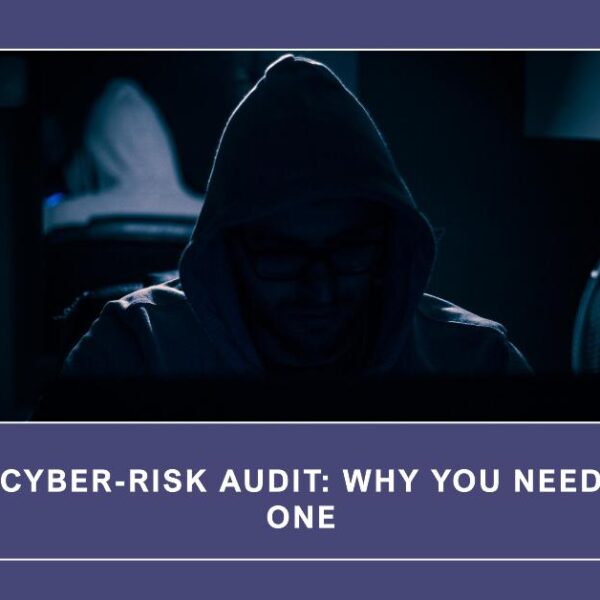 Cyber-Risk Audit